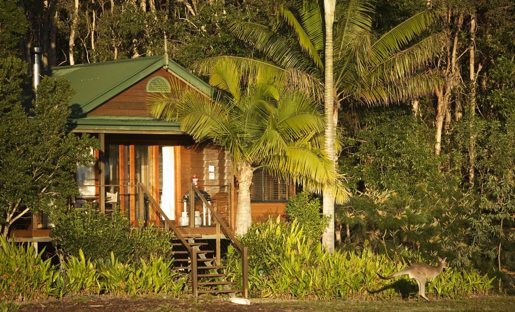 Lake Weyba Cottages Noosa 페레지안 비치 외부 사진