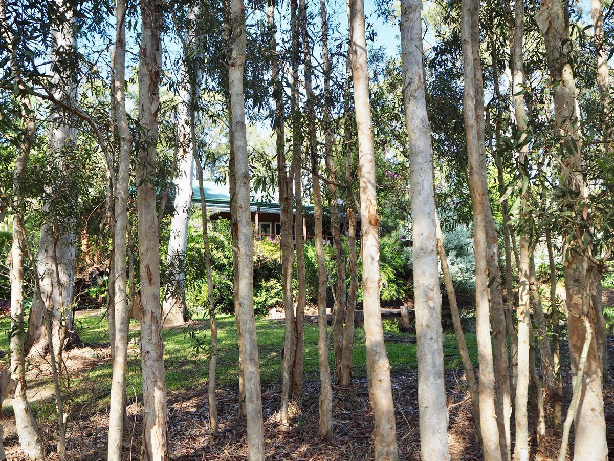 Lake Weyba Cottages Noosa 페레지안 비치 외부 사진